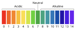 pH scale showing acid, alkaline and neutral