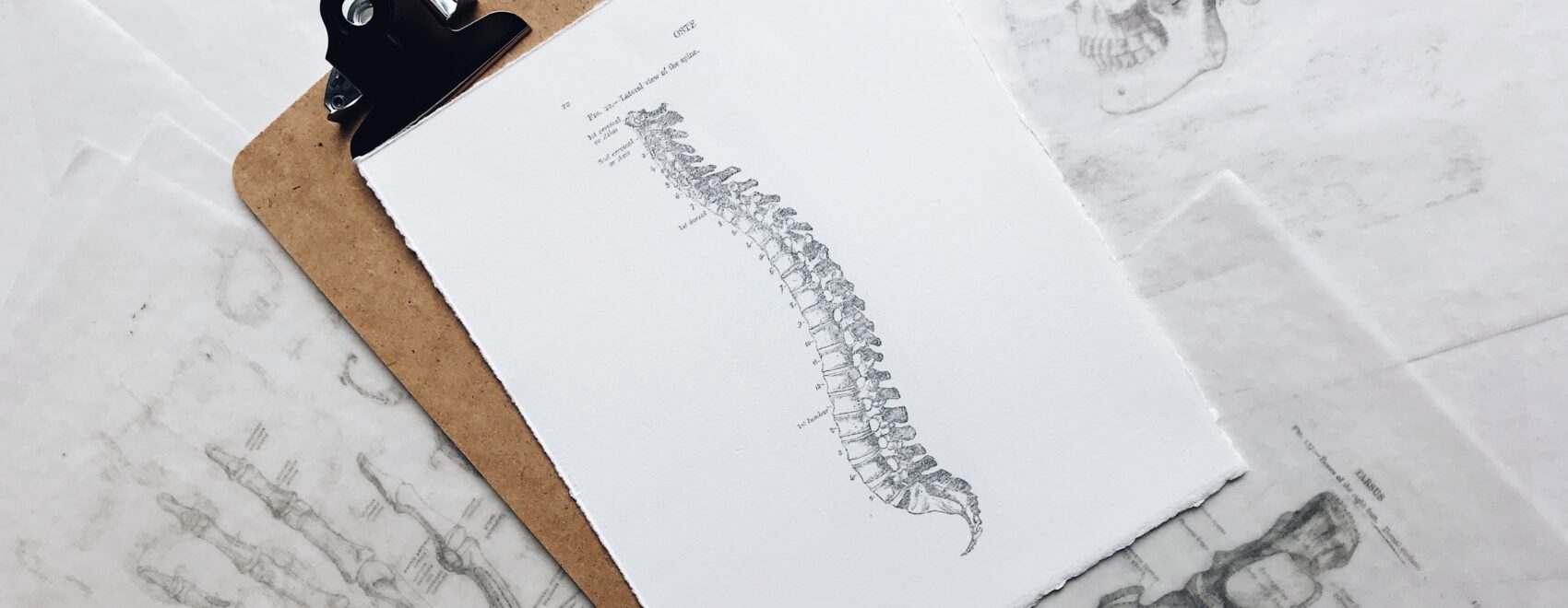 Image of a drawing of a spine sitting atop a clipboard. Whether you want to stop the pain or ease the symptoms of an autoimmune disorder or chronic disease we are here to help. Our holistic chiropractor uses kinesiology as part of their chiropractic care in Orland Park, IL 60477. Call today!