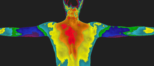 Image of an upper body