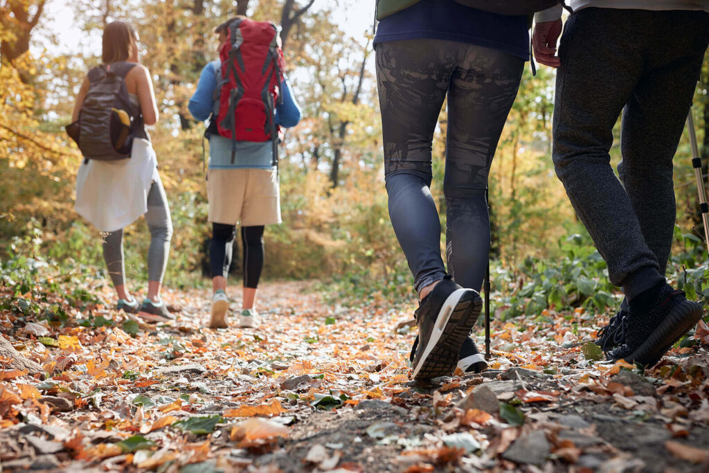 Image of a group of people hiking which shows the importance of getting chiropractic care in Orland Park, IL to remain active. With a chiropractor in the Chicago area you can stay well physically and mentally.