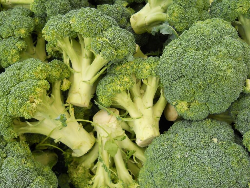 A close up of broccoli, a good food for detoxing. Learn more about detoxification in Orland Park, IL and the support a holistic doctor in Orland Park, IL can offer. Search for "what is functional medicine Chicago area" to get help with hormonal weight gain in Orland Park, IL and other issues. 
