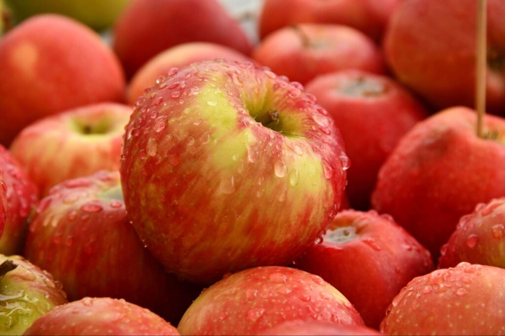 A close up of a heap of apples covered with water droplets. Learn how certain foods can help address blood sugar issues by working with a holistic doctor in Orland Park, IL. Search for Shape Reclaimed in the Chicago area to learn more about what is functional medicine Chicago area today.
