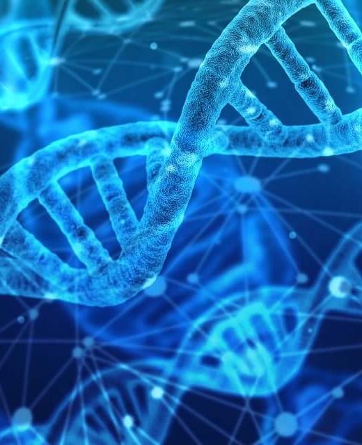 A graphic showing strands of DNA, representing the process of genetic health testing in the Chicago area. Learn more about how a genetic screening in Orland Park, IL can offer support in better understanding your health. Contact a holistic doctor in Orland Park, IL today.