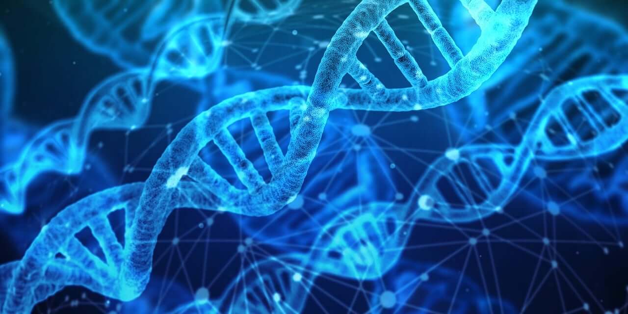 A graphic showing strands of DNA, representing the process of genetic health testing in the Chicago area. Learn more about how a genetic screening in Orland Park, IL can offer support in better understanding your health. Contact a holistic doctor in Orland Park, IL today.