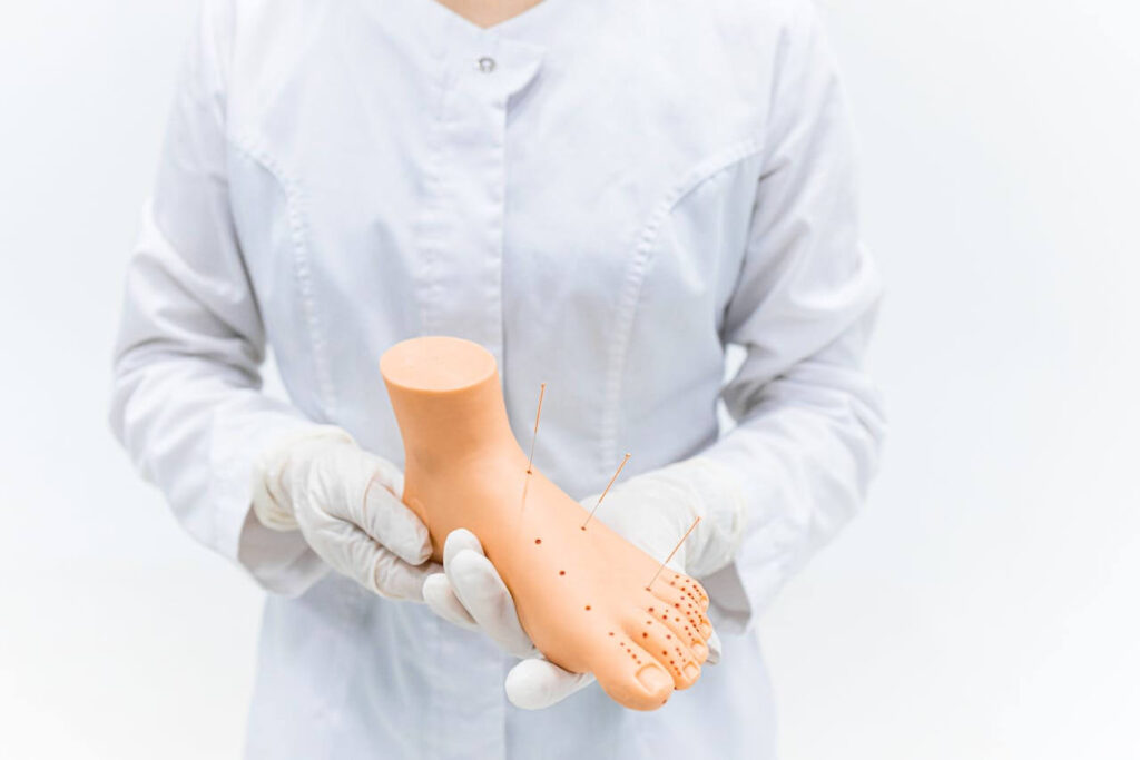 Shows a licensed acupuncturist in Orland Park, IL holding a model of a foot. Represents how a functional medicine doctor in the chicago area can help you with your fertility.