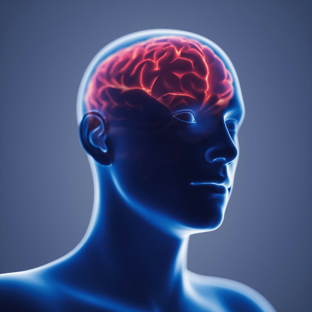Image of a human with brain, looking for the root cause for holistic healing with chiropractic and functional medicine in Orland Park, IL